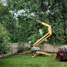 Best Lawn Grading and Leveling  in Taos Pueblo, NM